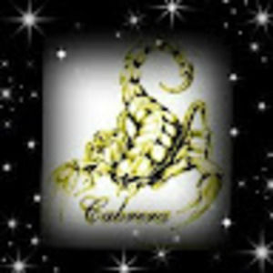 Meet your Posher, Ernesto